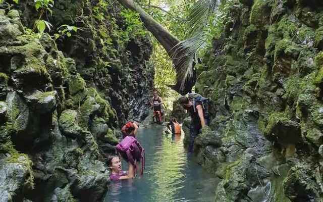 Golden Forest Homestay