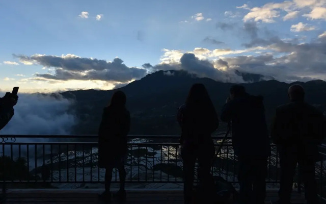 Plants and Flowers.YSTS