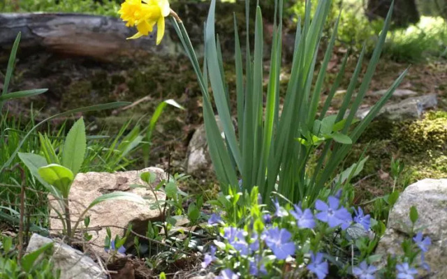Pensjonat Widok - Bike Hotel