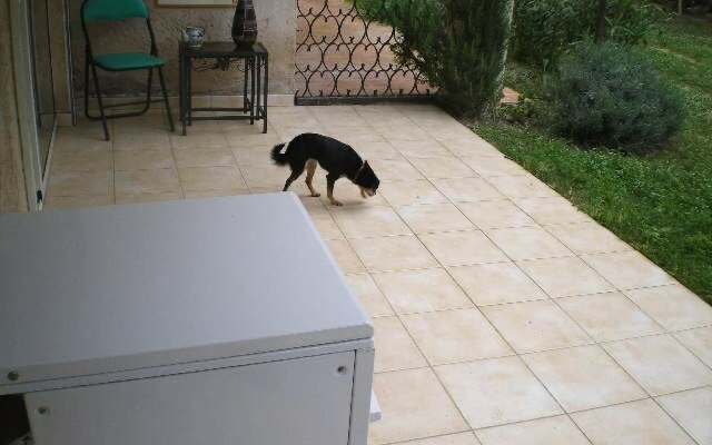 Studio rez-de-jardin Le Pin