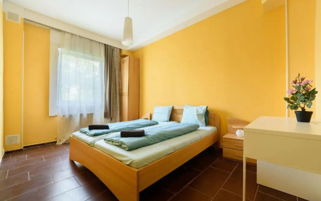 Downtown Buda Homes Relax