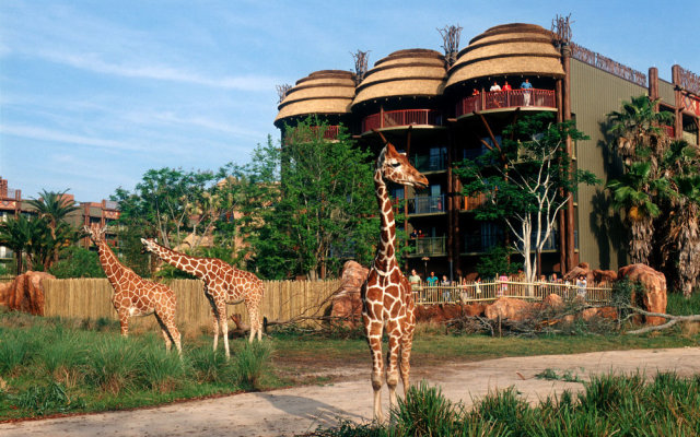 Disneys Animal Kingdom Lodge  Villas