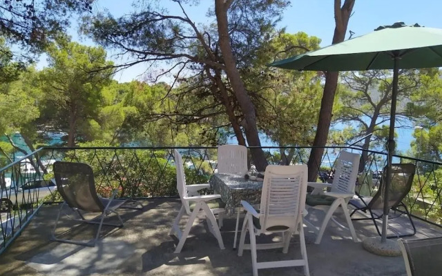 Vlasta - Near sea - H