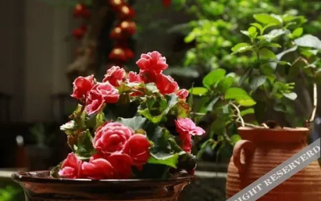 Tengchong Heshun Damabang Inn