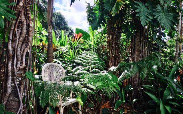 Jungara Cairns Bed and Breakfast