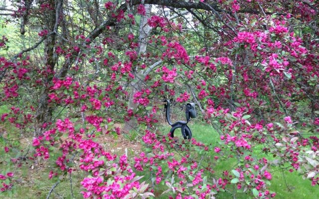 The Garden Bee Bed & Breakfast
