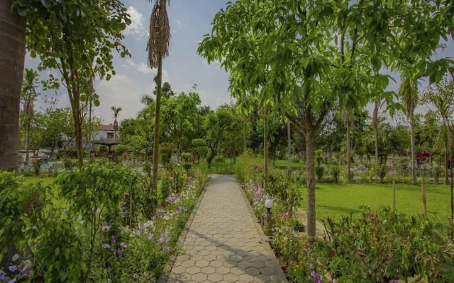 OYO 345 Jungle Nepal Resort