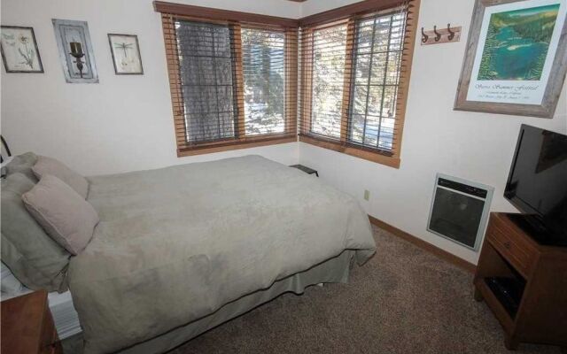 Mountainback #1, Den