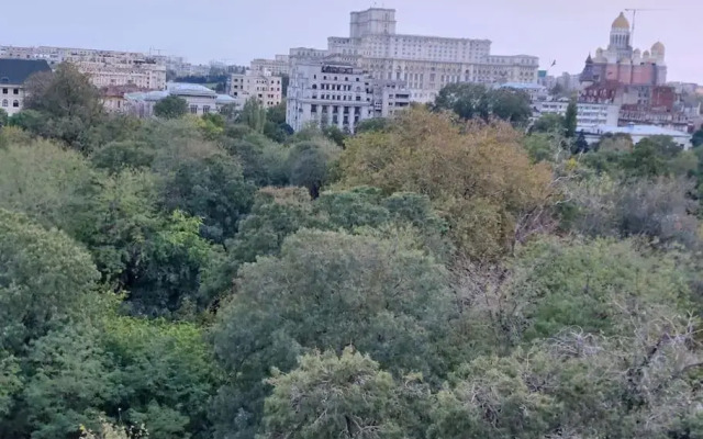 Sweet Dreams Suites Cismigiu Studio