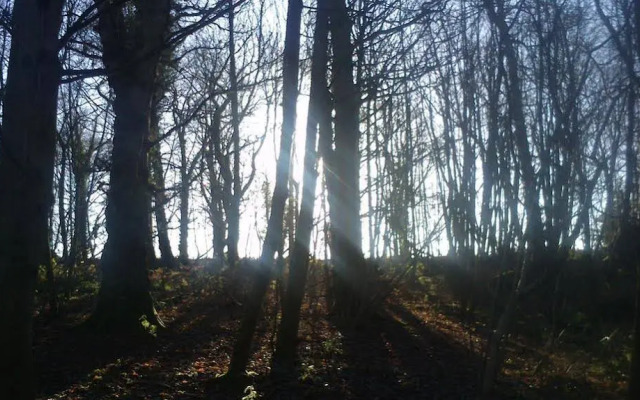 Thornybank