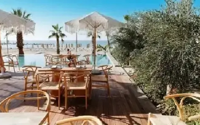 Epidamn White Sensation