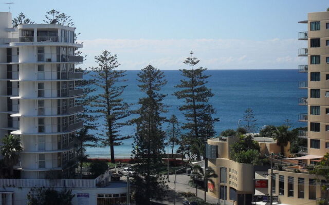 Pandanus Mooloolaba