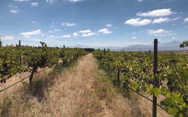 SCALI Wine LODGE