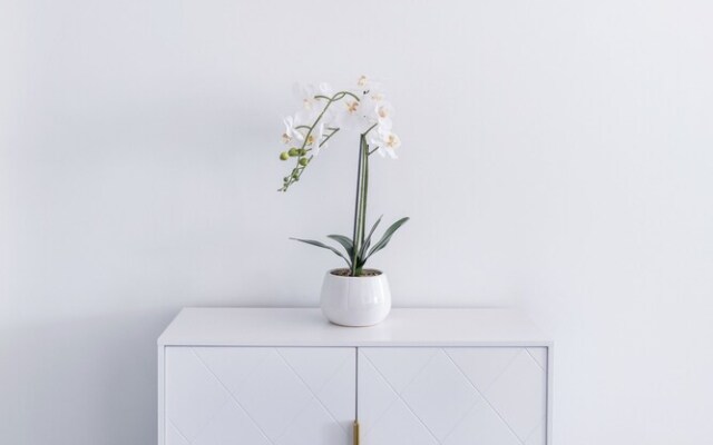 Airhome Brisbane CBD Apartments