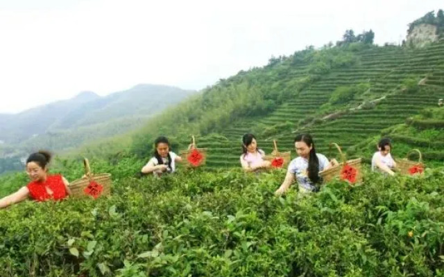 Yunfeng Manor