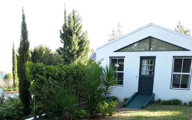 Winterson en Somerkoelte