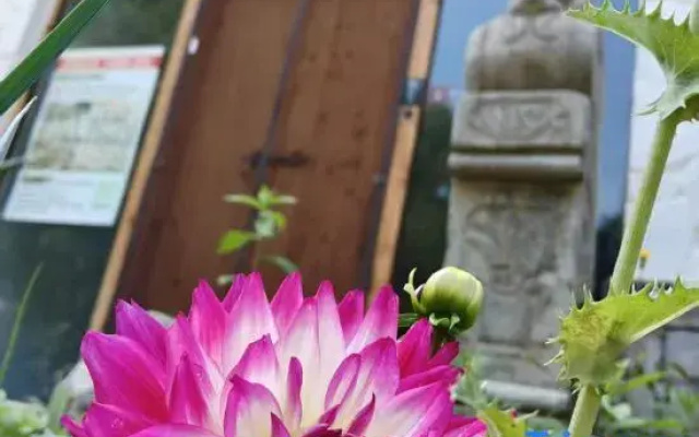 Yiru Homestay (Zhouzuling Yaowangdong Wellness Town Scenic Area)