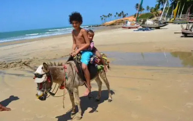 Brasil-Kite