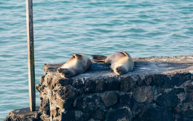 Blu Galapagos Sustainable Waterfront Lodge