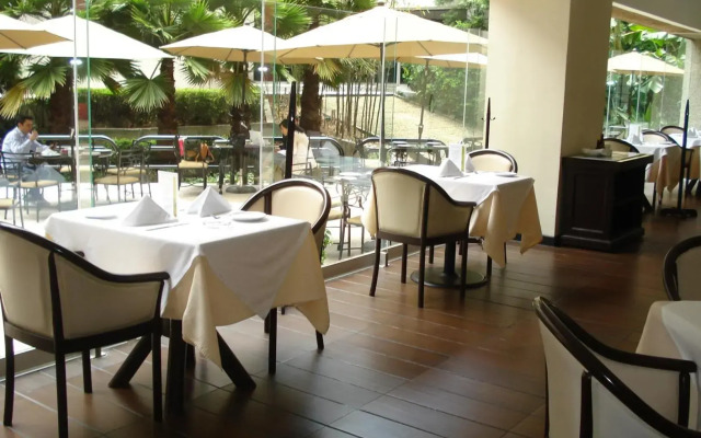 Royal Pedregal Hotel