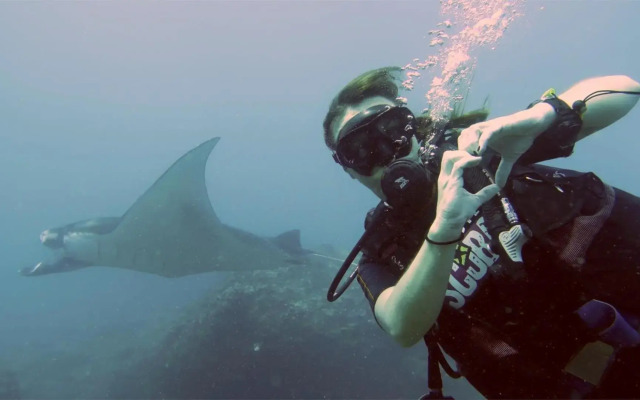 Absolute Scuba Bali Dive Resort