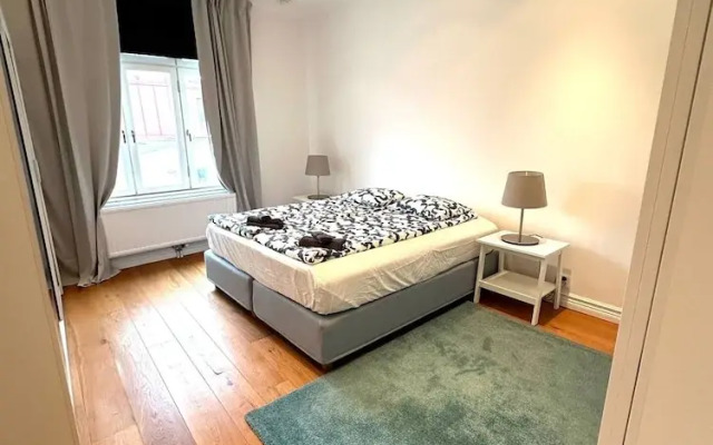 Luxury Apartment in City