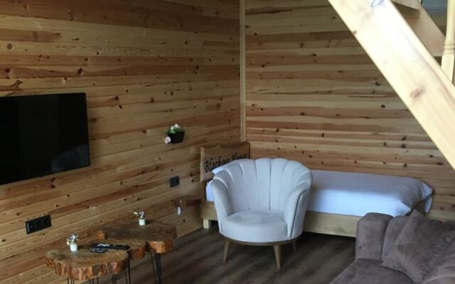 BlackSea House
