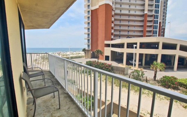 Whaler by Youngs Suncoast