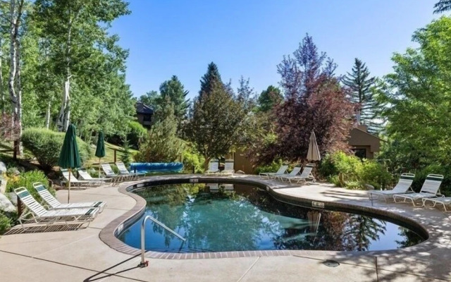 Remodeled Snowmass Pet-Friendly Modern 1BR Condo - G125