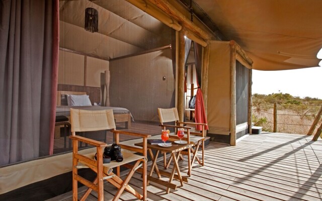 Basecamp Eagle View