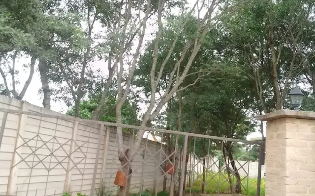 Garden Guest House Bed & Bre Chitungwiza