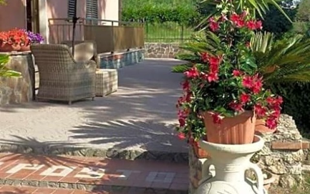 Un Posto Al Sole - Paola