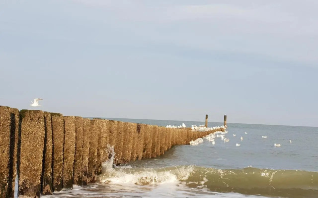 Studio aan Zee