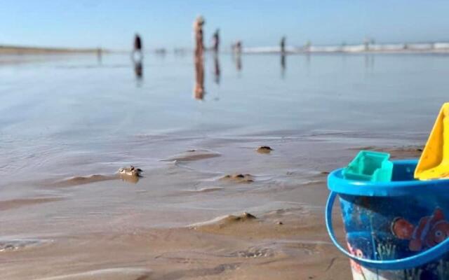 Maison Bretignolles-sur-Mer, 2 pièces, 4 personnes - FR-1-231-120