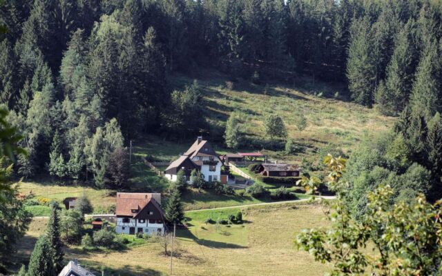 Tillisch (SWN100)