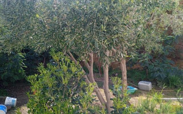 Villa Athina 3