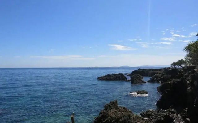 Badladz Beach and Dive Resort