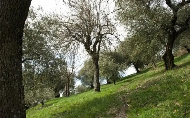 Agriturismo Le Francesche