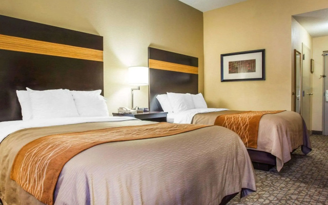 Comfort Inn & Suites at Stone Mountain