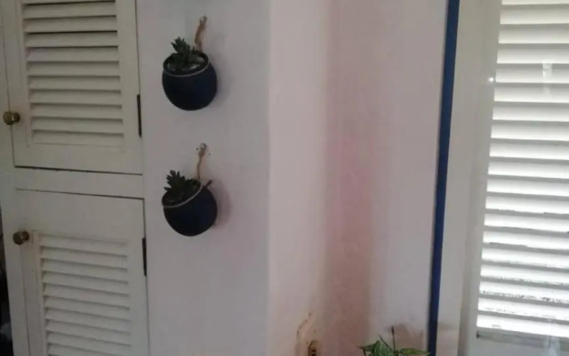 17 Montego Bay Caribbean Estates