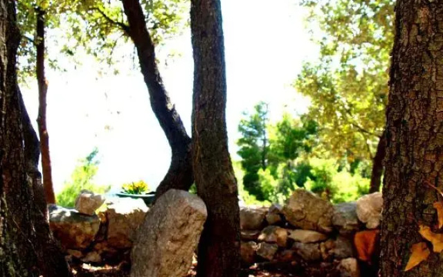 Holiday Home Dalmatinska Kuća