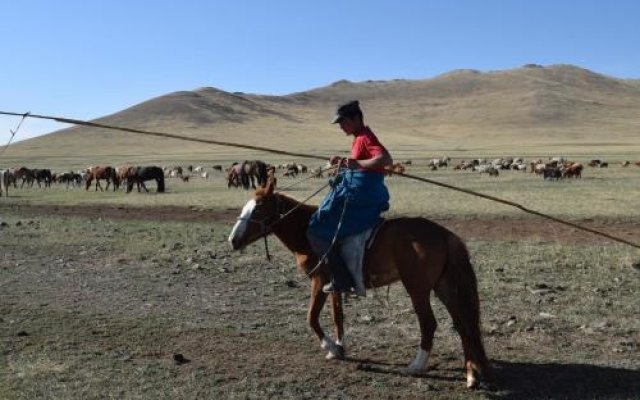 Wonder Mongolia Guest House