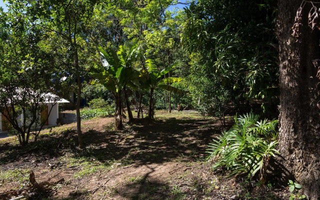 Pousada Acalanto Inn