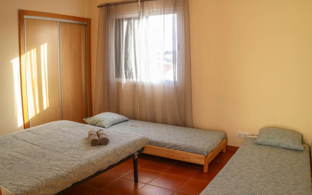 O DRAGOEIRO da Madalena!