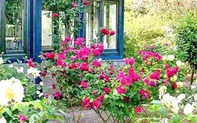 La Gallina Felice B&B