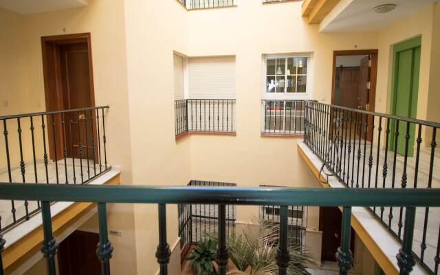 New Wood Studio Plaza la Merced