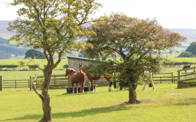 The Barn Cottage