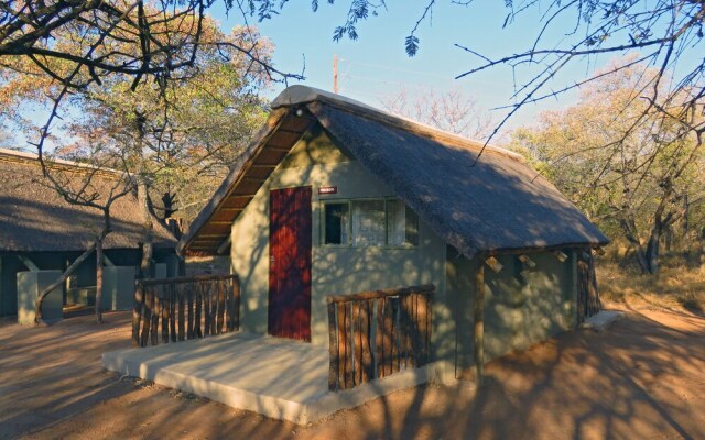 Wild Dogs Safari Lodge