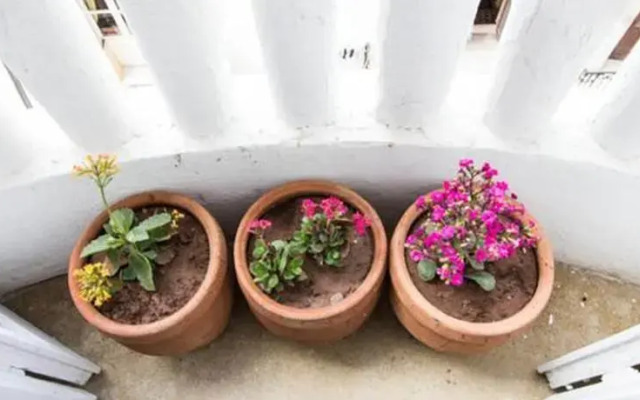 Sabor Apartment Casablanca