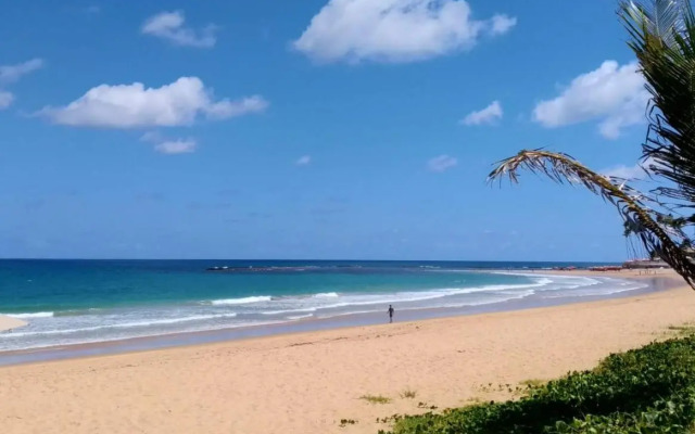 Beach Class Eco Life Muro Alto 9003